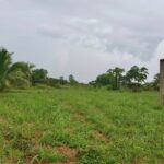 Prime Property Hummingbird Highway